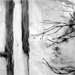 conny stark - fundstücke - natur
