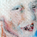 conny stark - 'ge-sichtet'
