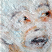 conny stark - 'ge-sichtet'